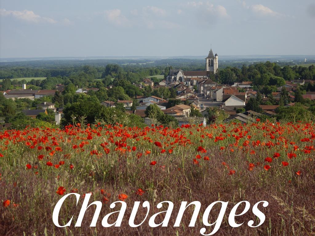 Chavanges Meuble De Tourisme Le Gilliardヴィラ 部屋 写真